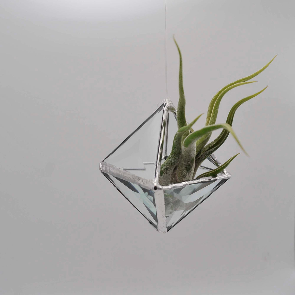Pyramid Bevel hanging terrarium, clear faceted stained glass prisms make a 3D geometric planter for air plants, two sizes