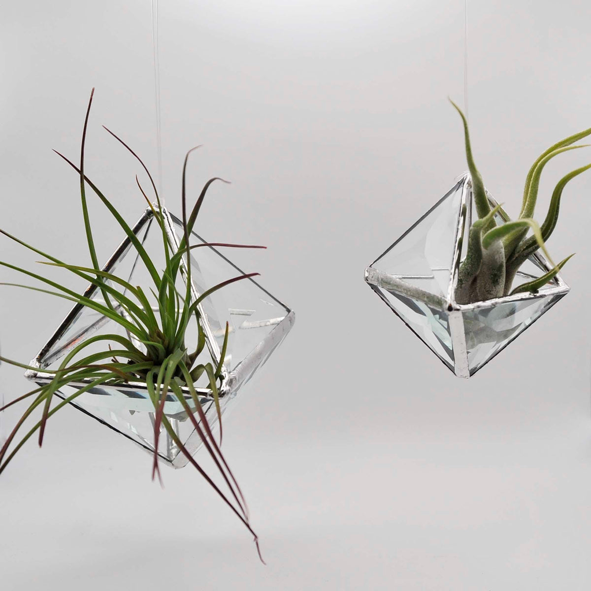 Pyramid Bevel hanging terrarium, clear faceted stained glass prisms make a 3D geometric planter for air plants, two sizes
