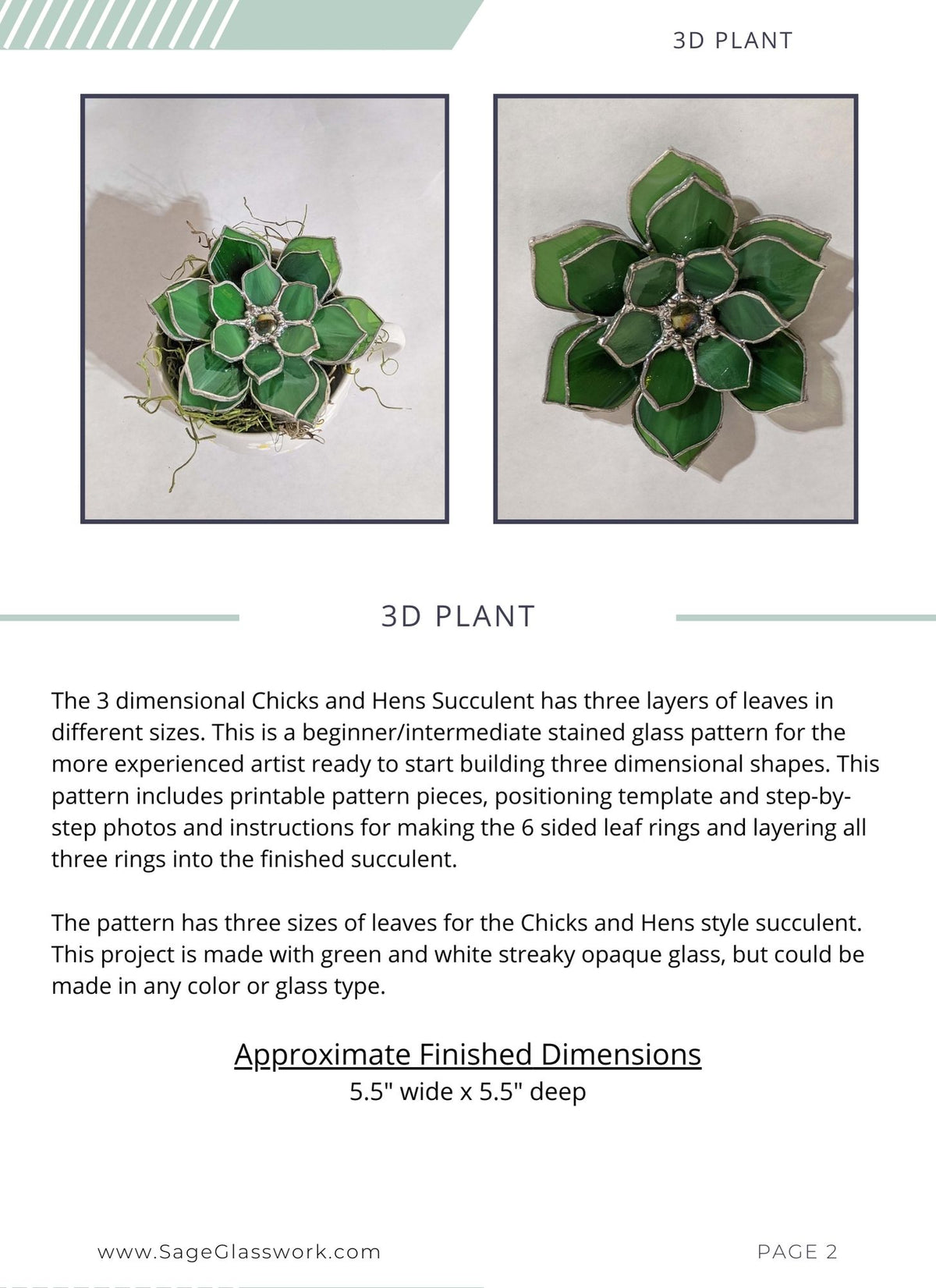 3D Chicks and Hens Succulent TUTORIAL