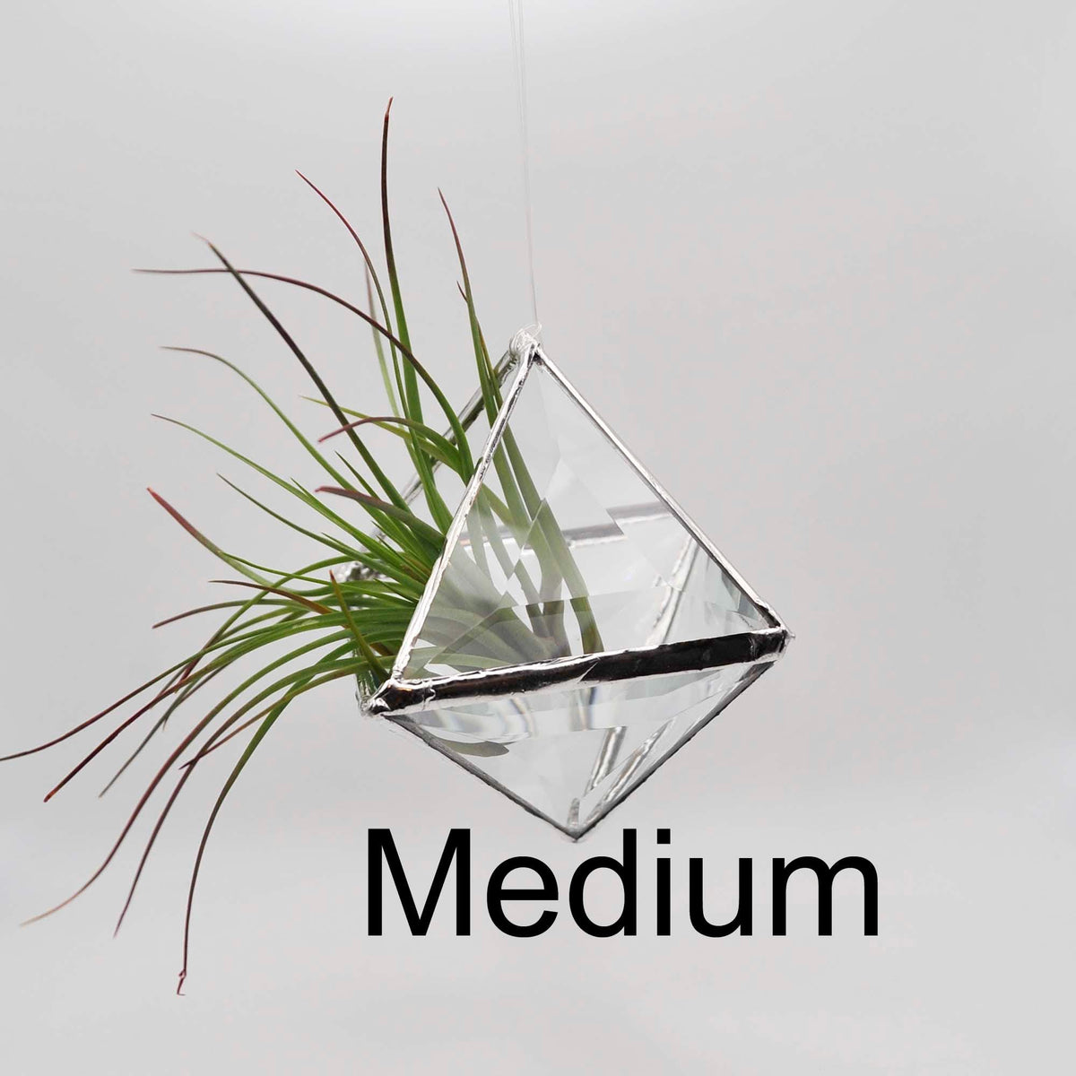 Pyramid Bevel hanging terrarium, clear faceted stained glass prisms make a 3D geometric planter for air plants, two sizes