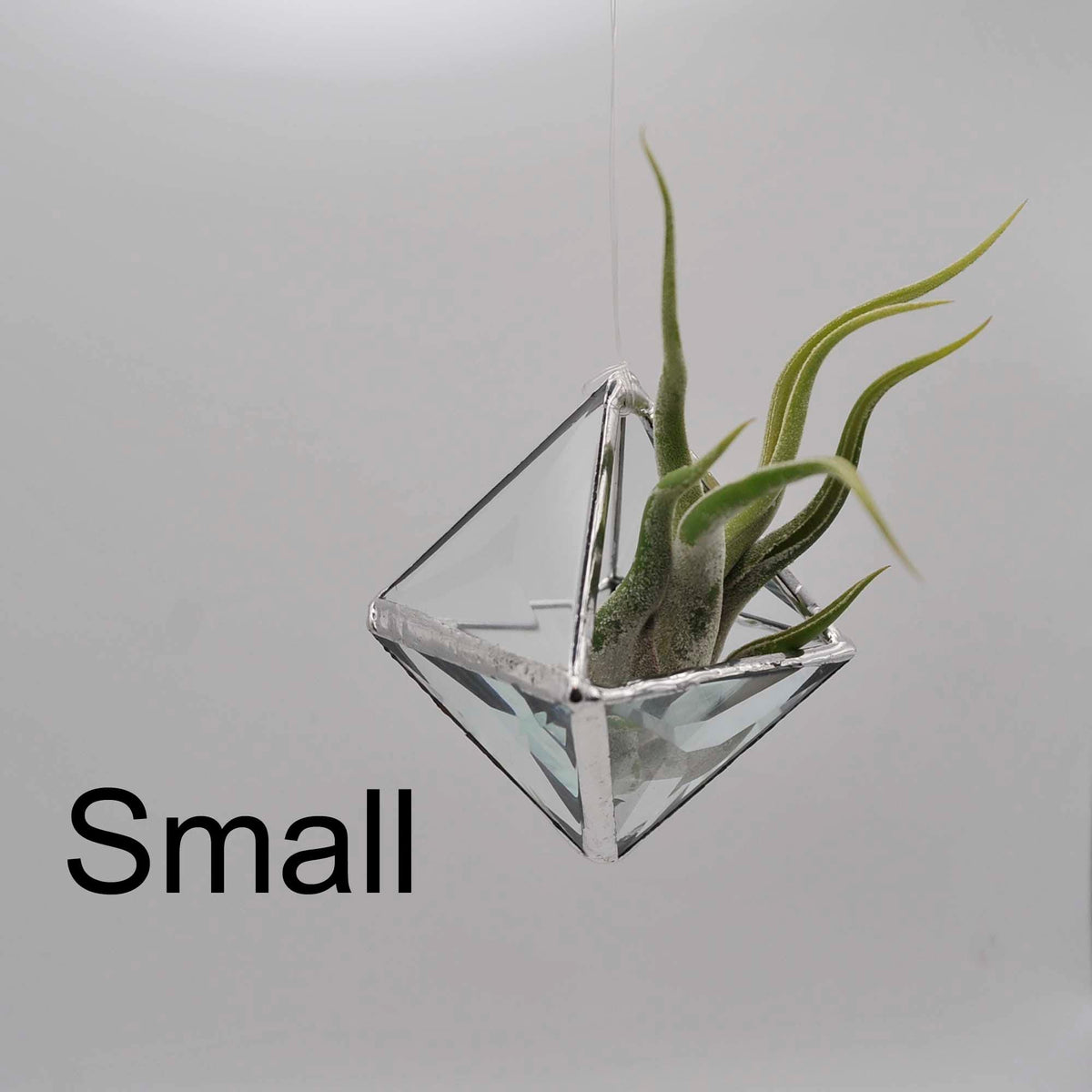 Geometric Pyramid Bevel hanging terrarium, clear faceted stained glass prisms make a 3D geometric planter for air plants, two sizes