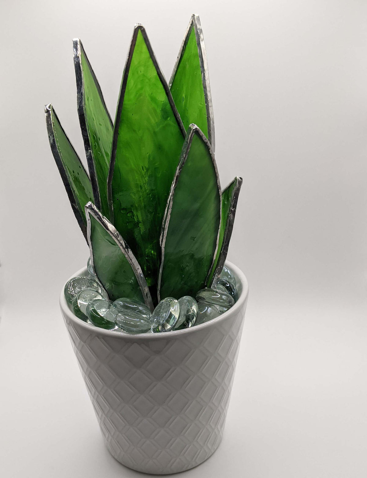 3D Spikey Succulent TUTORIAL