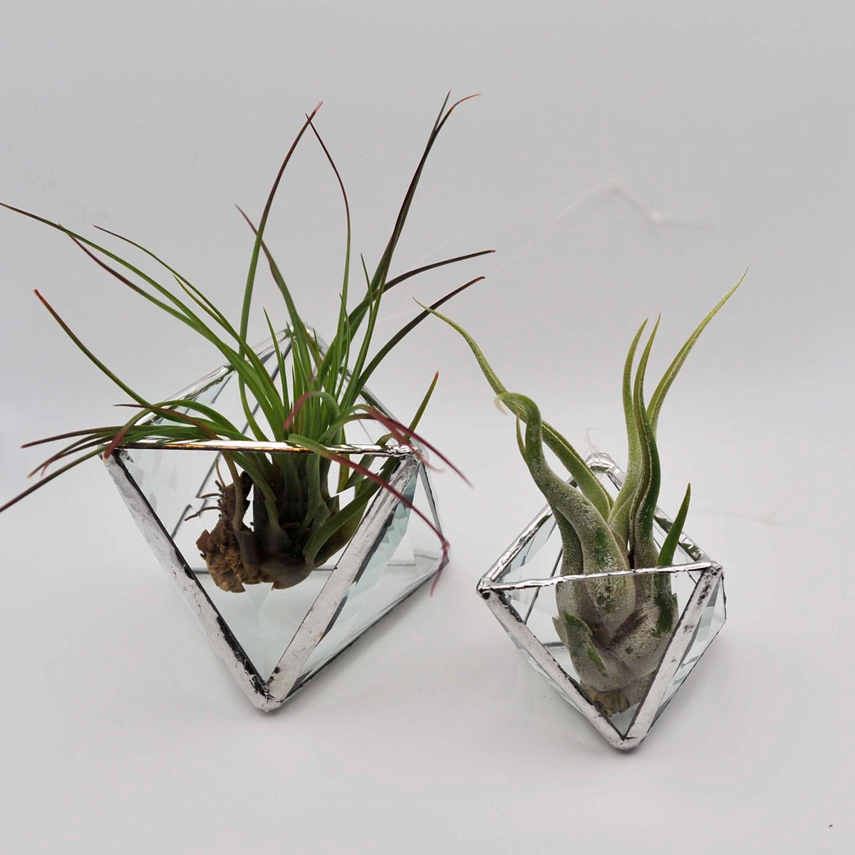 Pyramid Bevel hanging terrarium, clear faceted stained glass prisms make a 3D geometric planter for air plants, two sizes