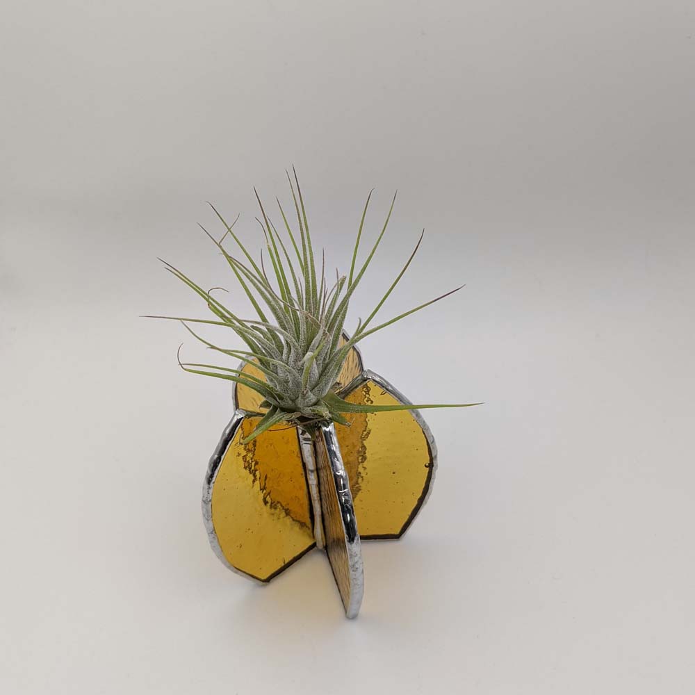 Mini Pineapple Air Plant Holder TUTORIAL