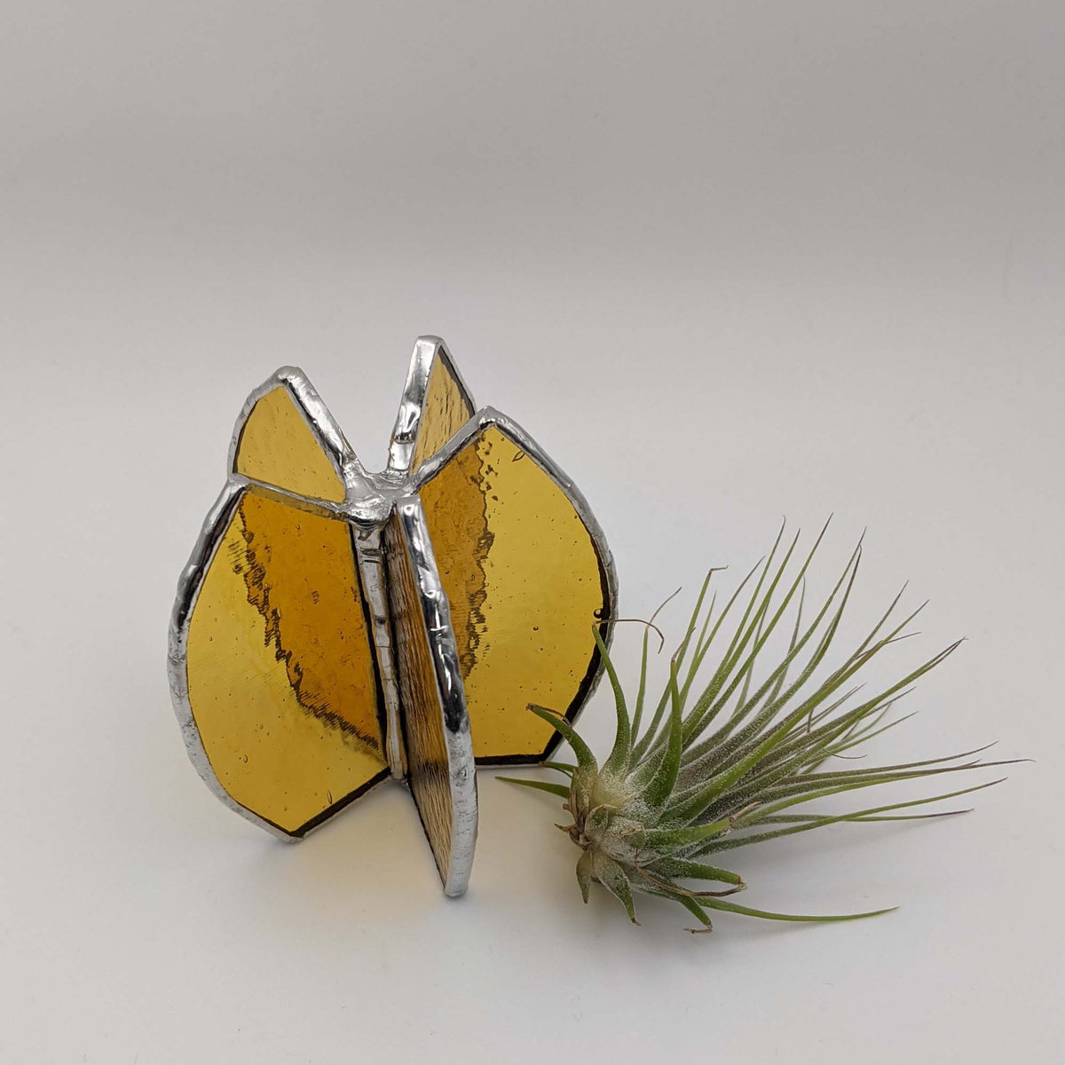 Mini Pineapple Air Plant Holder TUTORIAL