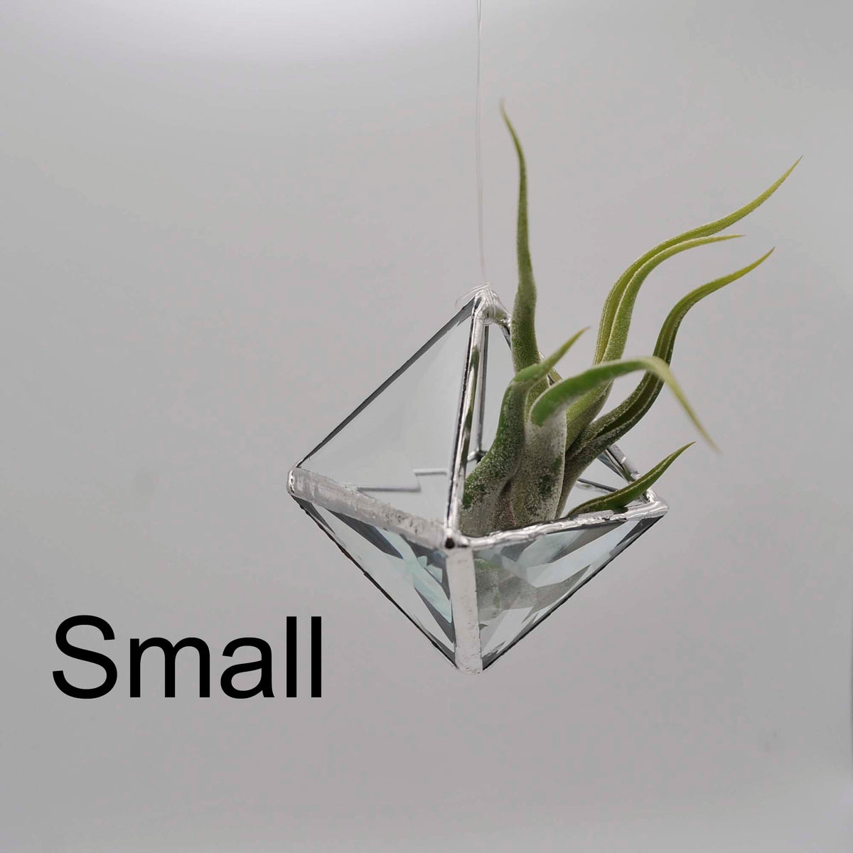 Geometric Pyramid Bevel Hanging Terrarium