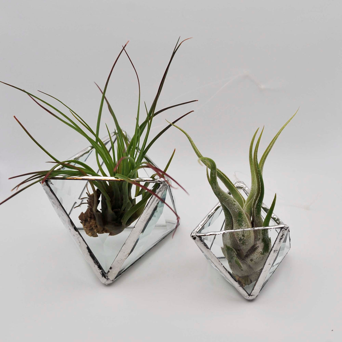 Geometric Pyramid Bevel Hanging Terrarium