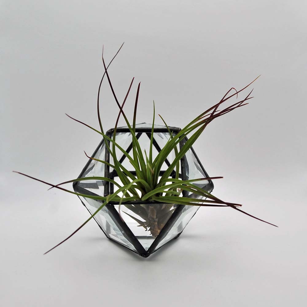 3D Geometric Glass Terrarium/Candle Holder TUTORIAL